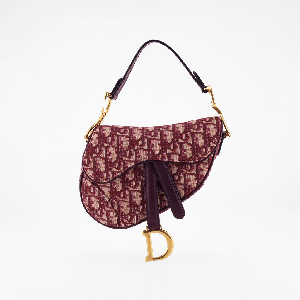 DIOR MINI SADDLE
